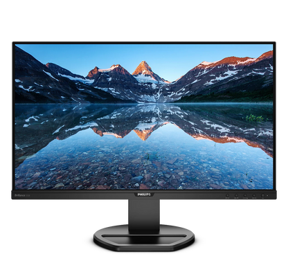 PHILIPS 25" 16:10 1920 x 1200 IPS 60Hz Business Monitor 252B9