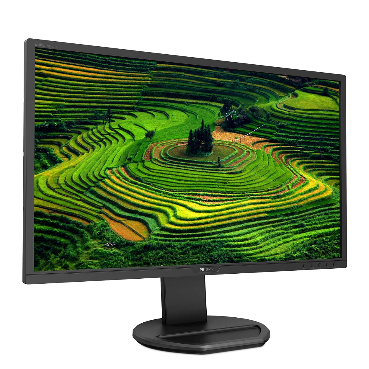 PHILIPS 21.5" FullHD TN 60Hz Business Monitor 221B8LHEB