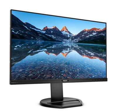PHILIPS 25" 16:10 1920 x 1200 IPS 60Hz Business Monitor 252B9