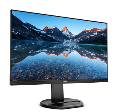 PHILIPS 25" 16:10 1920 x 1200 IPS 60Hz Business Monitor 252B9