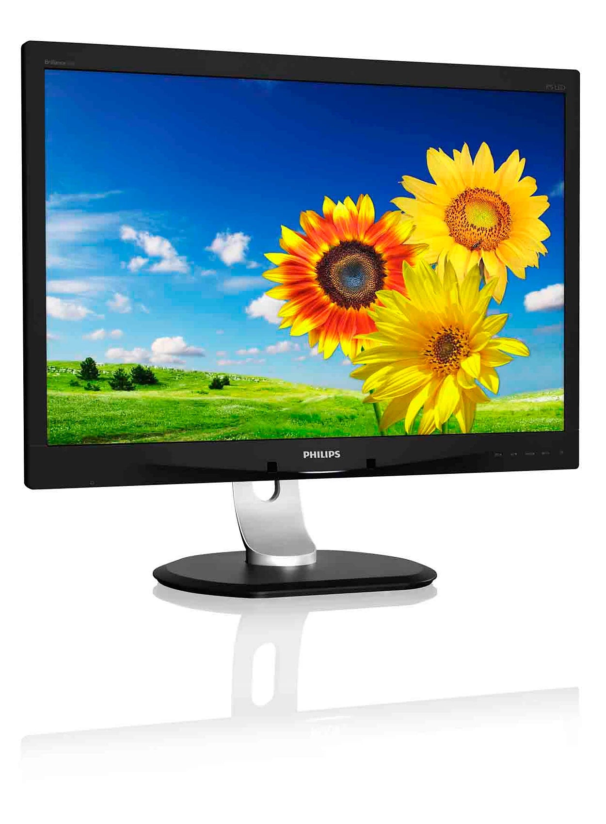 PHILIPS 24" 16:10 1920 x 1200 IPS 60Hz Zero Power Sensor Business Monitor 240P4QPYEB