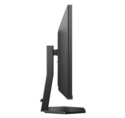 PHILIPS 31.5" 2K QHD IPS 100Hz Home Monitor 32E1N3500